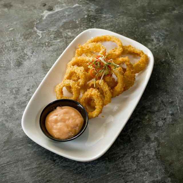 a bowl of ketchup and onion rings on a plate