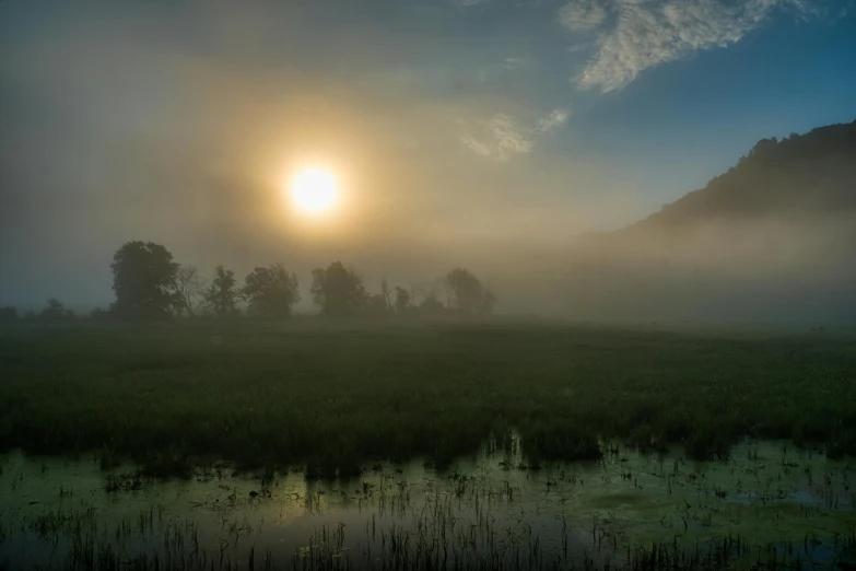 the sun is shining through the fog in a field