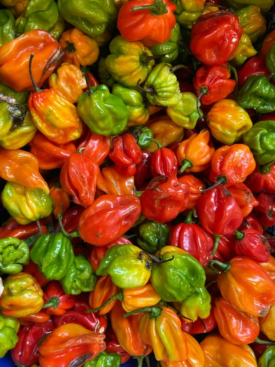 the colorful peppers are displayed on the blue plate