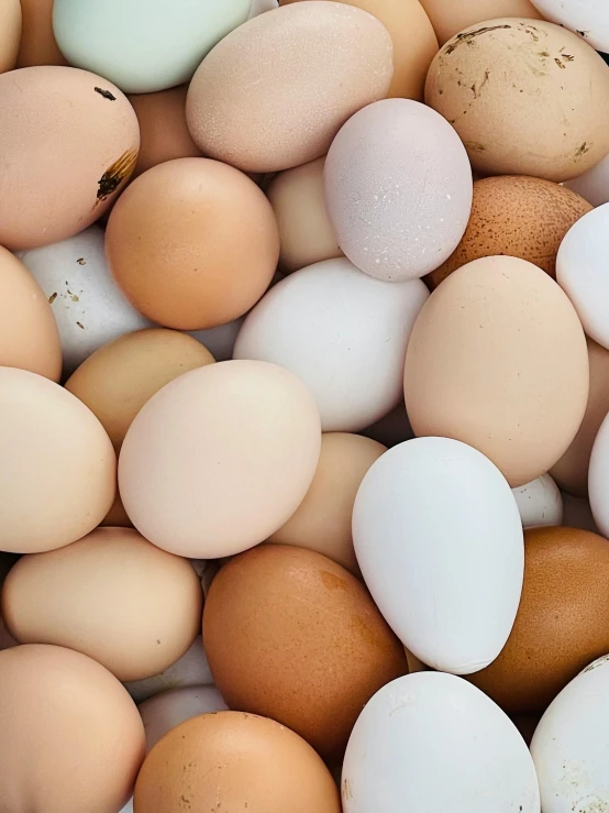 some eggs are white brown and some are brown