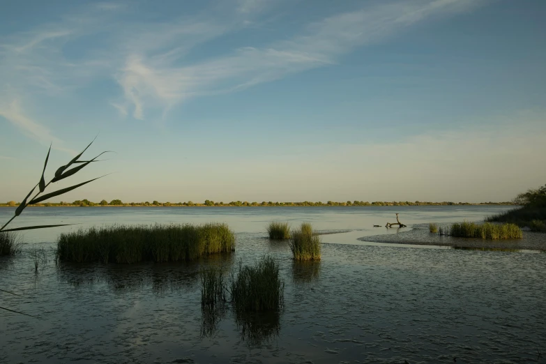 two birds standing on a dock in the water