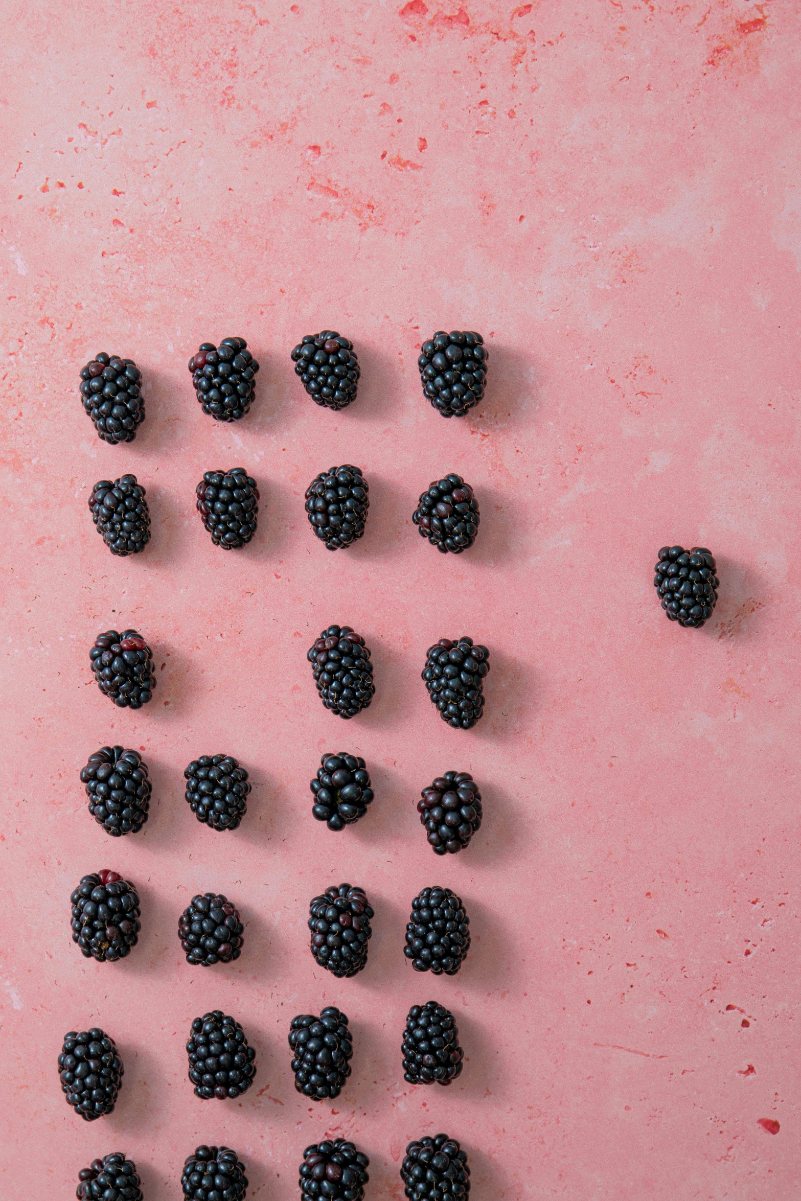 an overhead view of a bunch of blackberries on pink