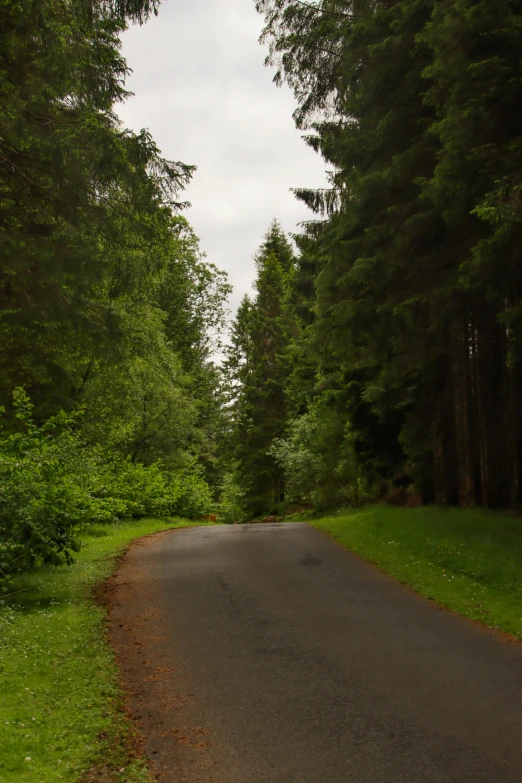 a road with a red traffic light at the end of it