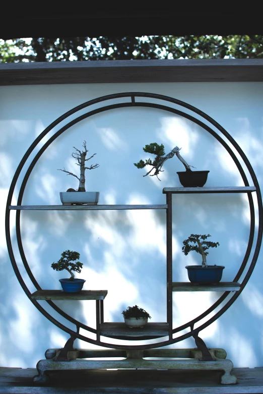 potted plants sit in various plant sections on a shelf