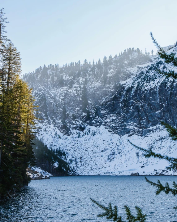 trees stand on a snowy mountain overlooking the water