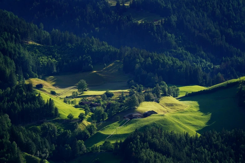 a view of a hillside with trees and rolling hills