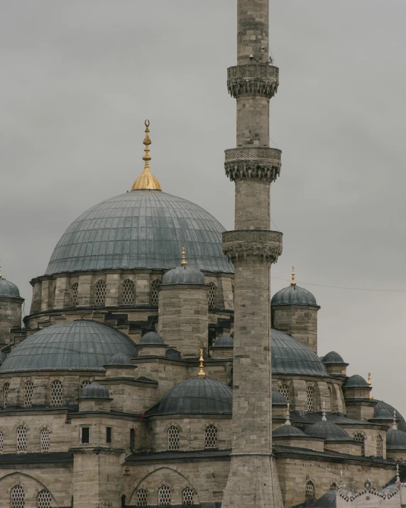 an image of a very large building with some domes