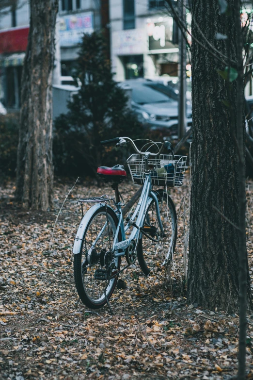 a bicycle leaning against a tree in the park