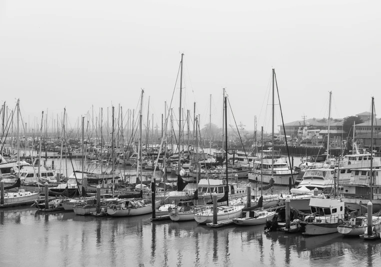 many boats are docked along the shore of a city