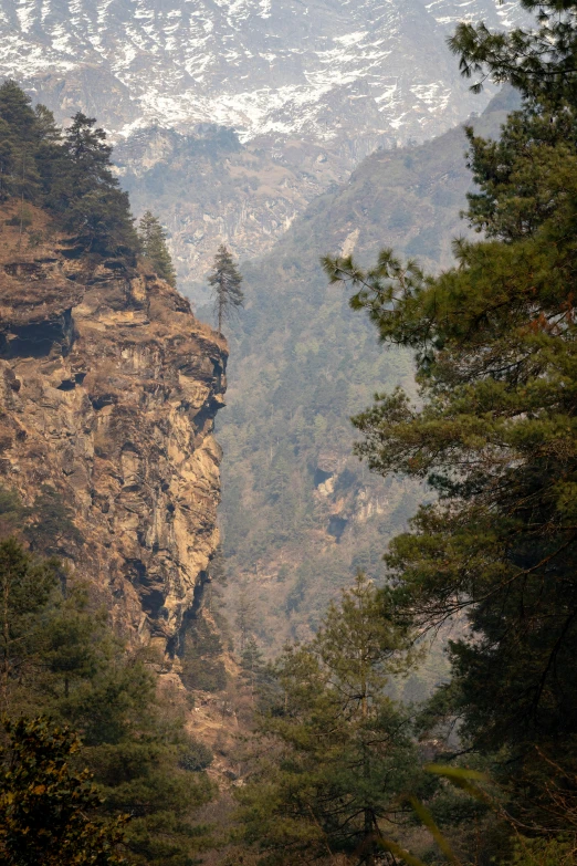 the mountains in the distance are surrounded by trees