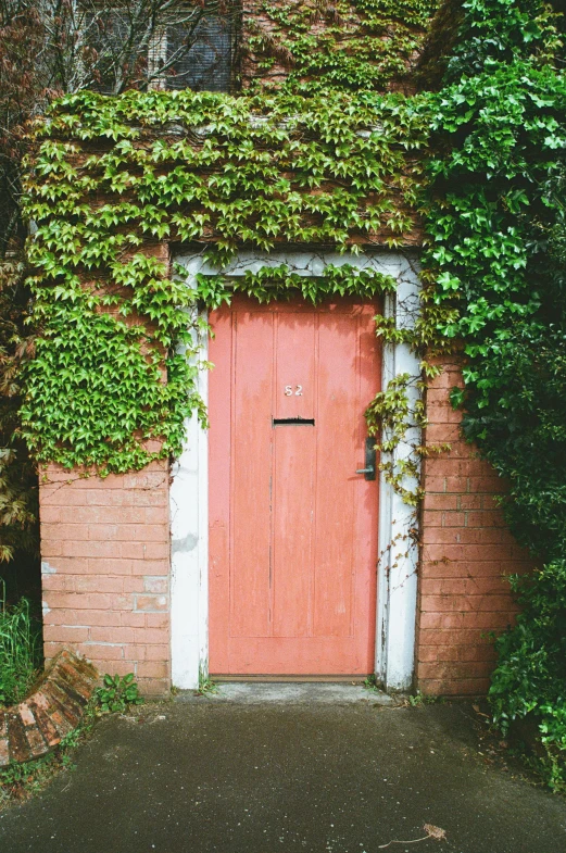 an image of red door in the building with ivy growing around