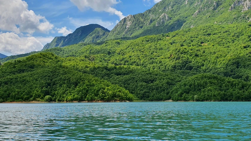 a lush green forest covered mountains are in the background