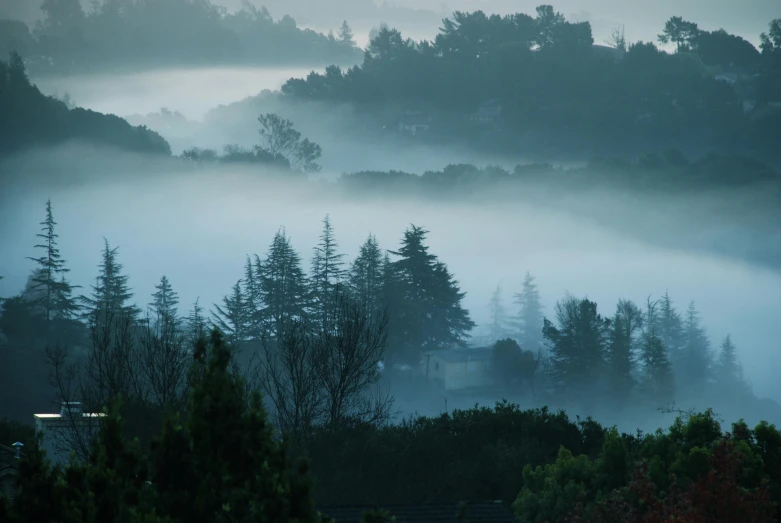 the landscape is full of fog, with little buildings on each side