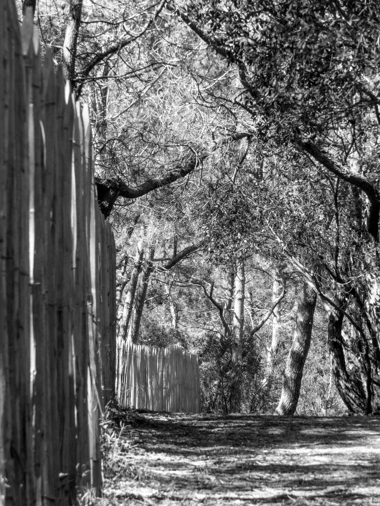 a small wooden fence and some trees