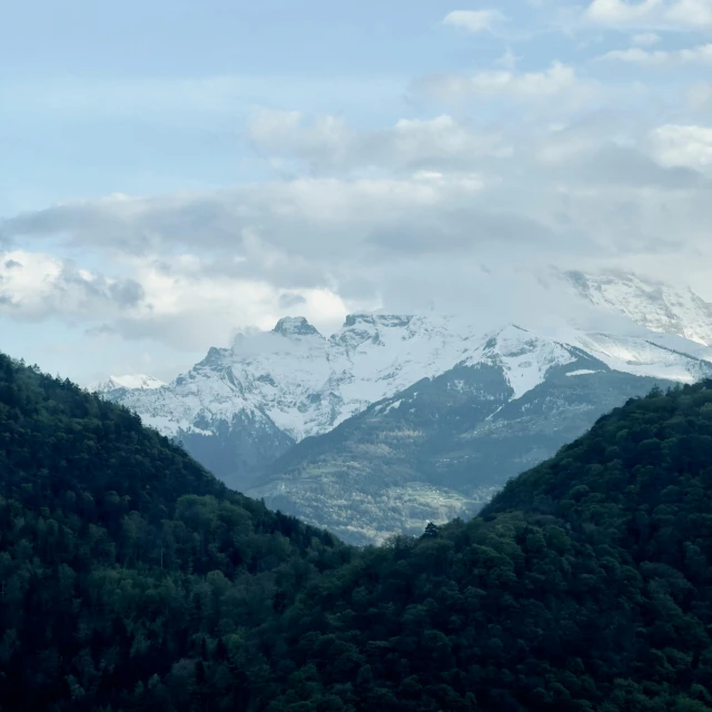 mountains and trees covered in snow under a cloudy sky