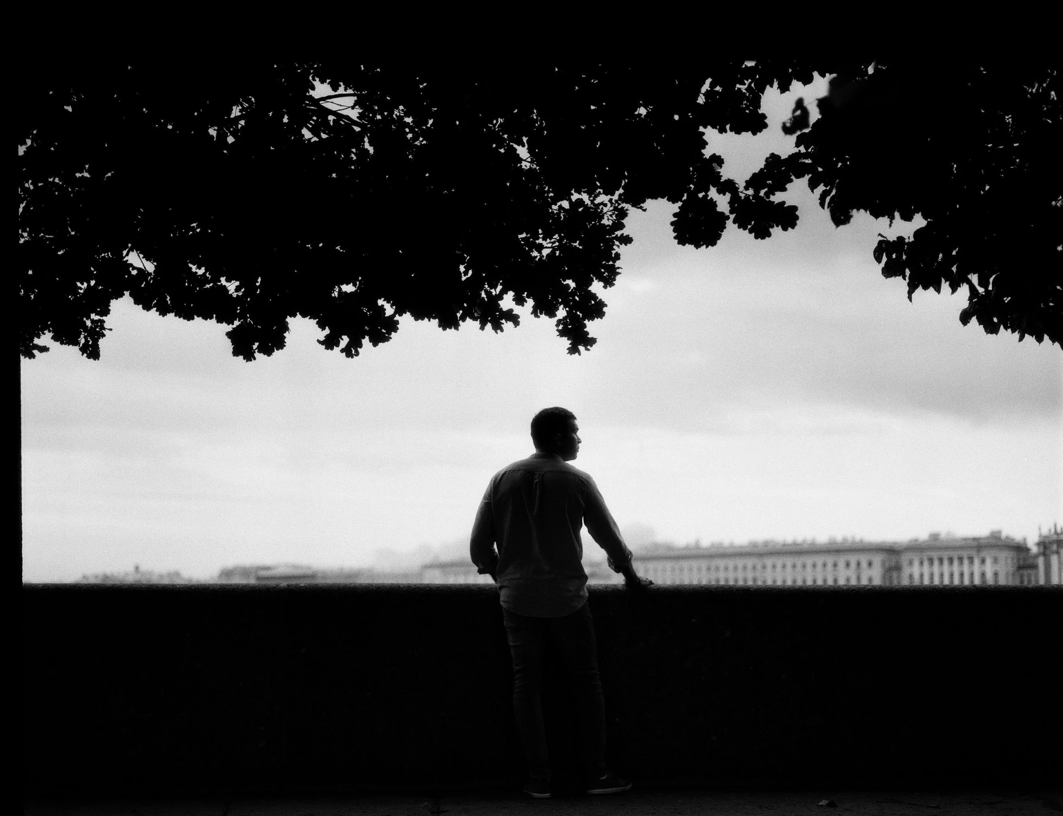 a man looking over the railing of the park