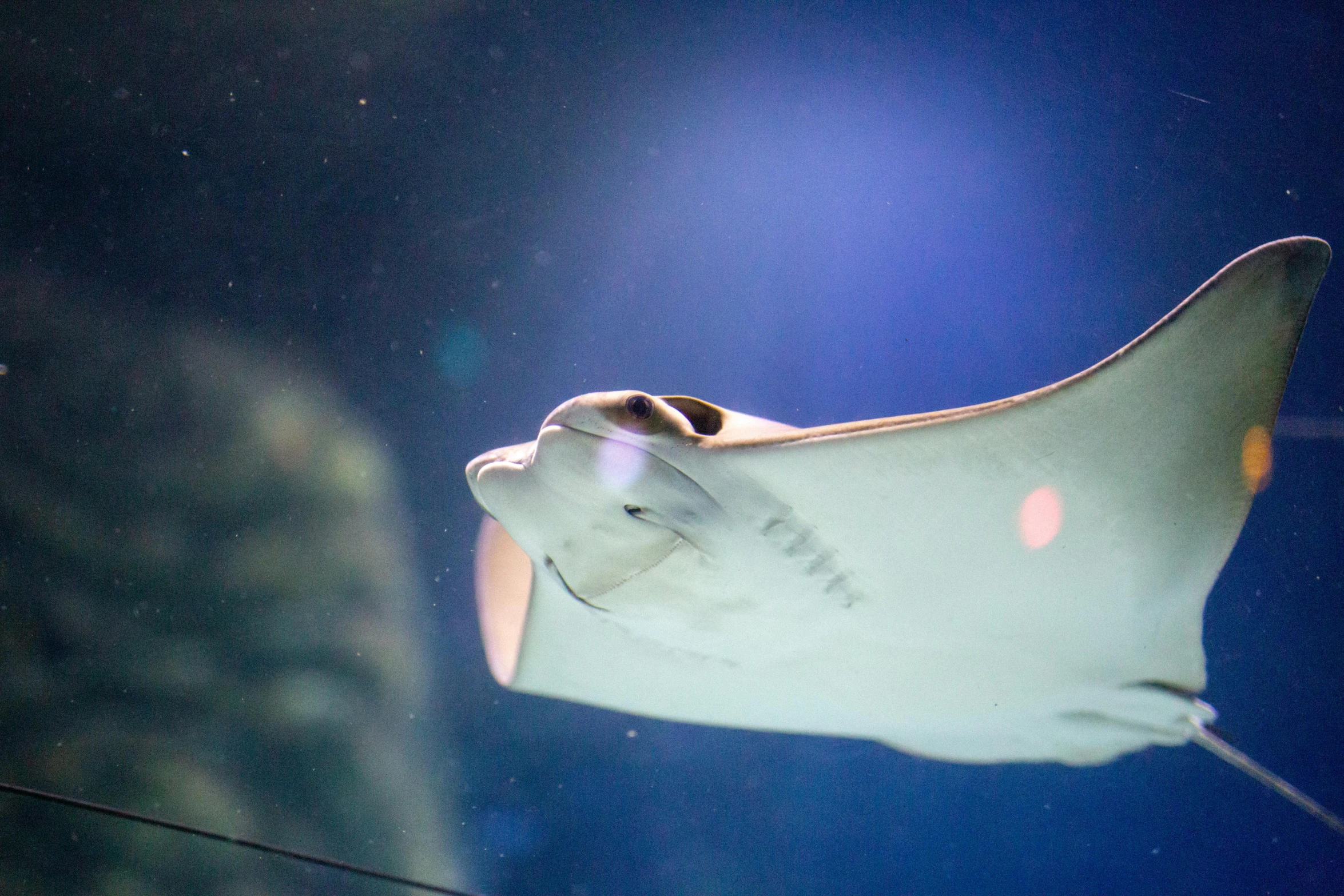 a large white and black object flying above a building