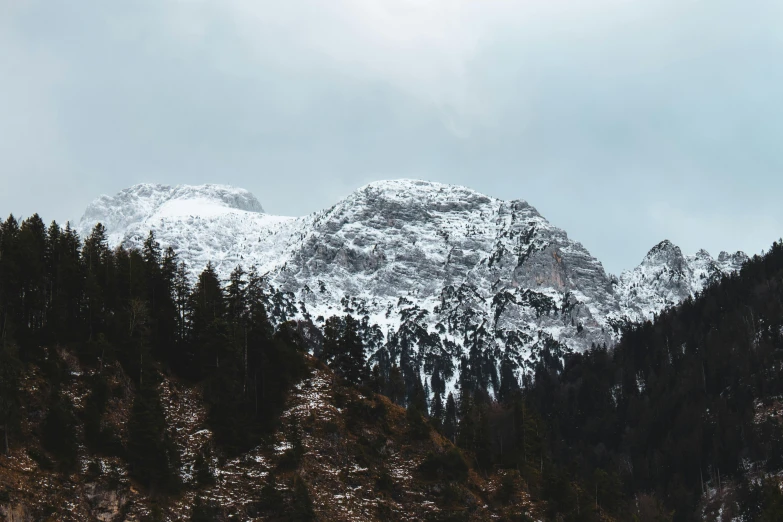 a snow covered mountain in the distance surrounded by evergreen trees