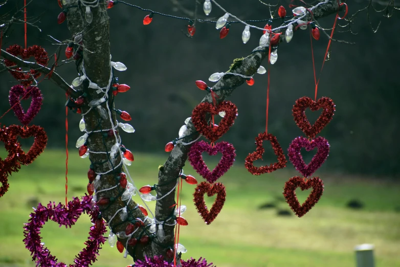 heart shaped beads hang from nches in a park