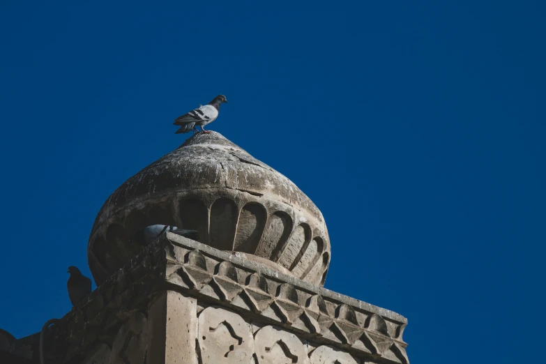 a bird sitting on top of a building with a sky background