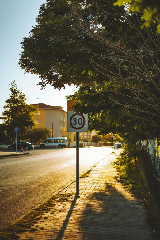 a street with a tree in the shade on it