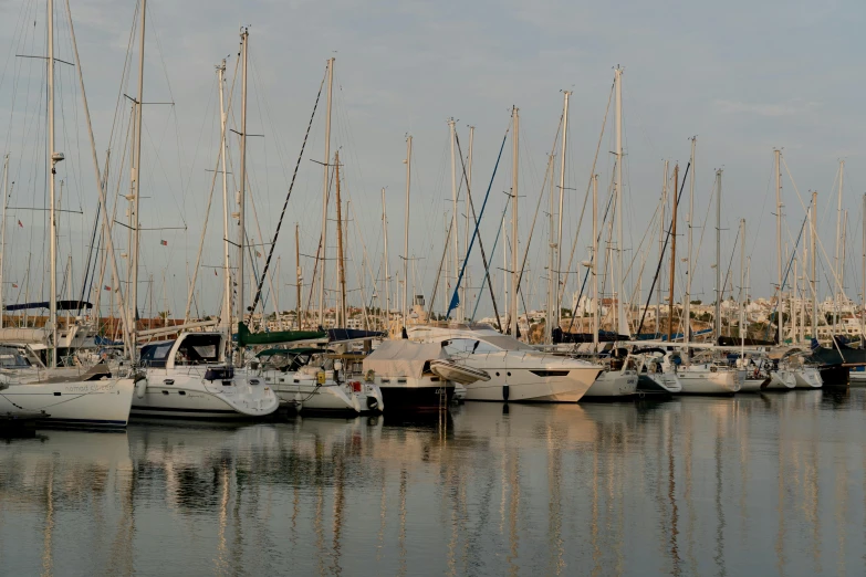 many boats parked side by side at a dock