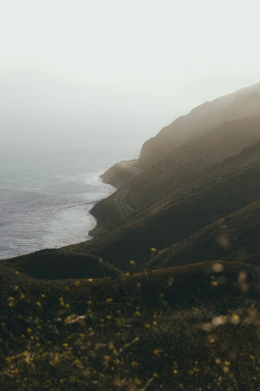 a cliff face with a body of water and grassy vegetation on either side