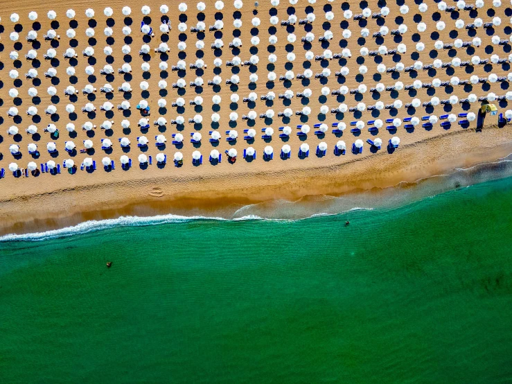 beach with green water and multiple white umbrellas