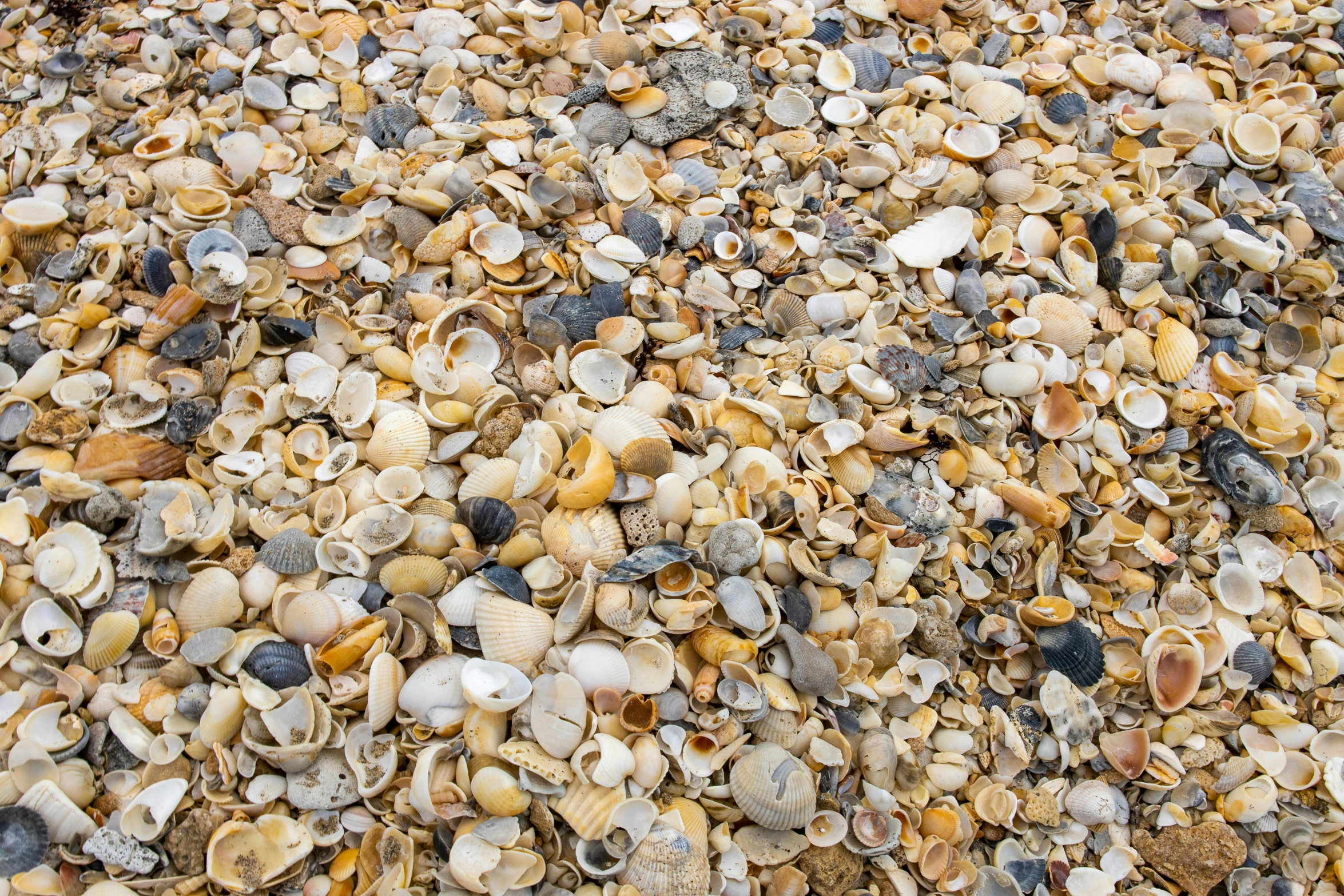 the rocks and gravel are on top of the ground