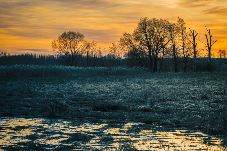 the sunrise with a small dle in the field next to some trees