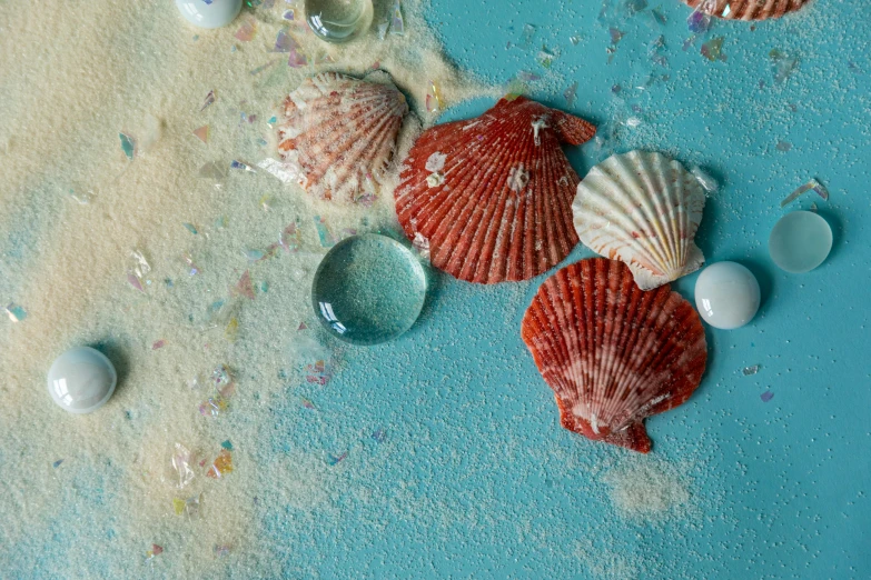 a variety of seashells, pebbles and pebbles on the beach