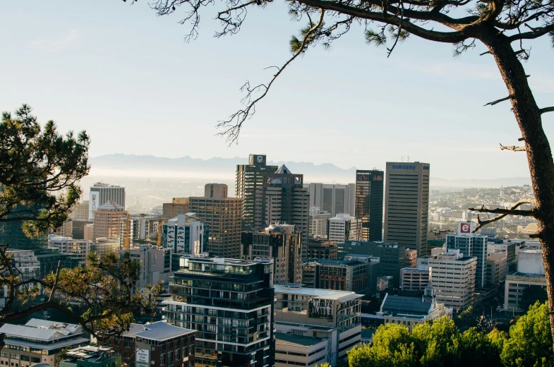 the view of a city with tall buildings, tall trees and some hills