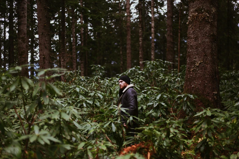 a man stands in the midst of tall trees