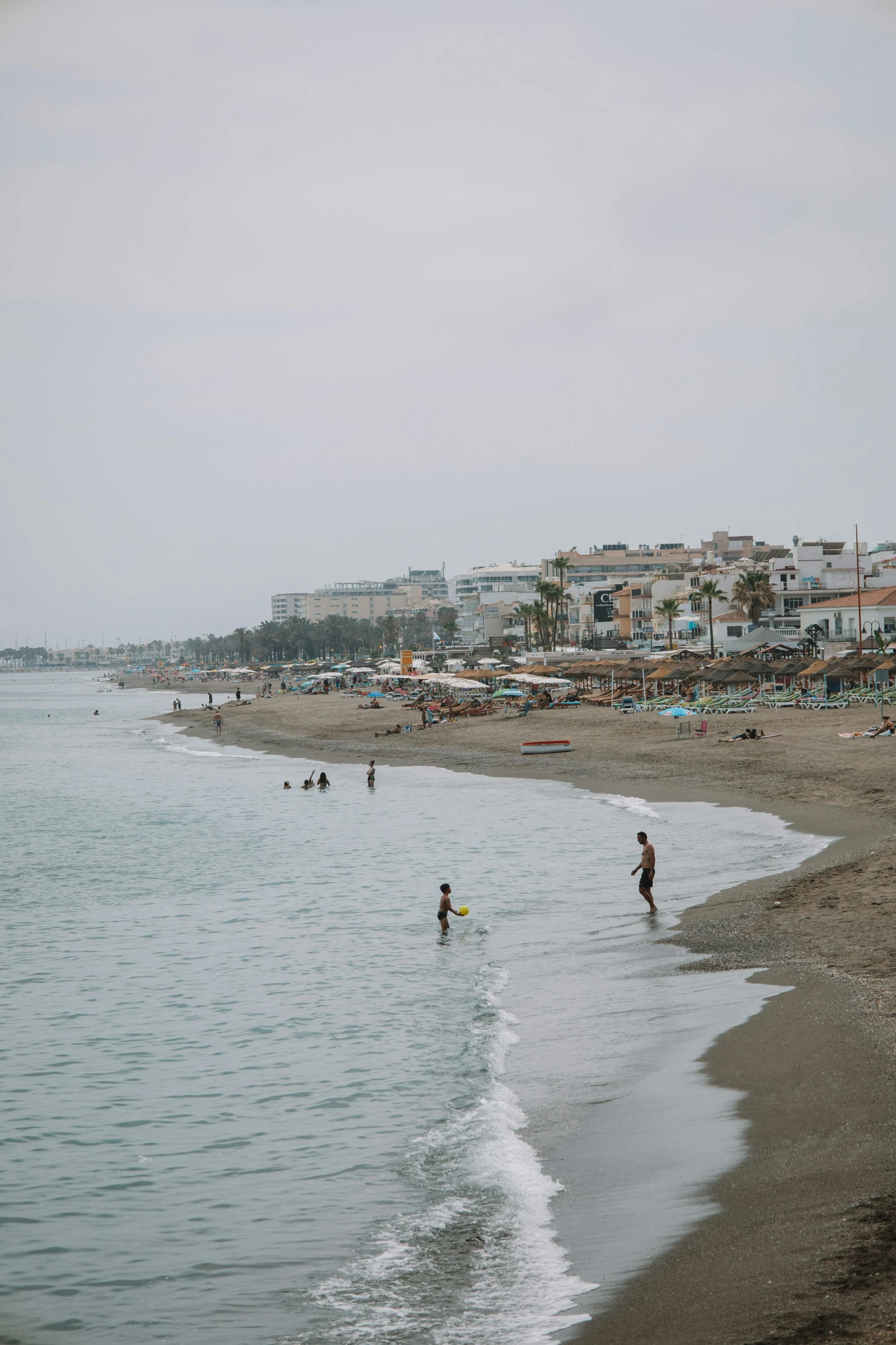 people play in the water near the shoreline