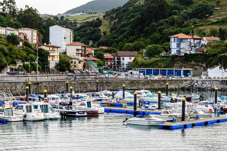 boats are lined up near the dock with houses and hills in the background