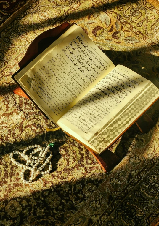 a book sitting on top of a carpet