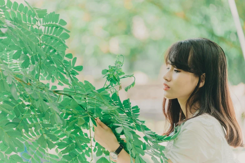 a woman standing near a leaf filled tree