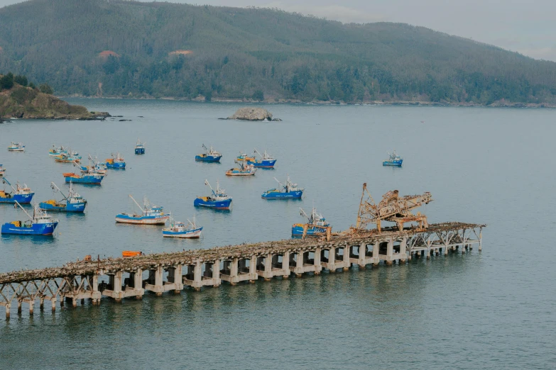 there are many boats in the harbor that are not yet anchored