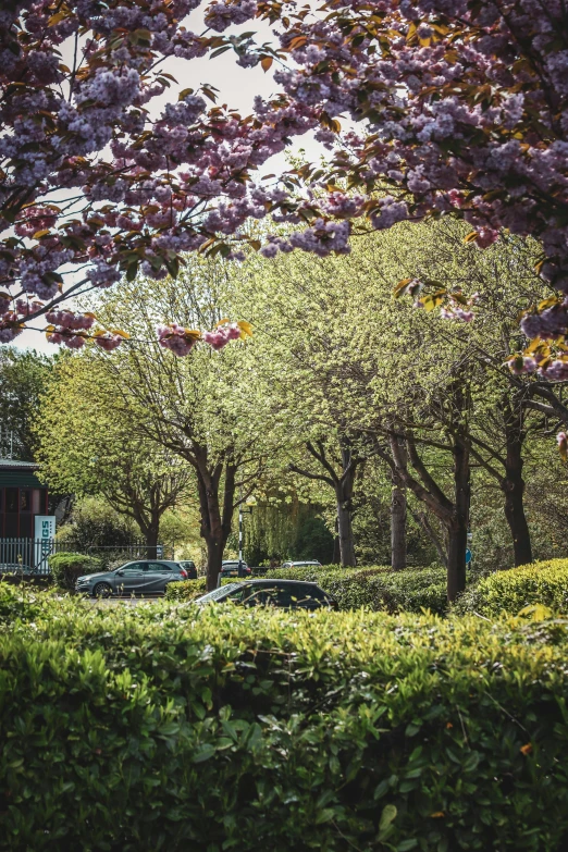 a bus traveling down the road near many trees and bushes