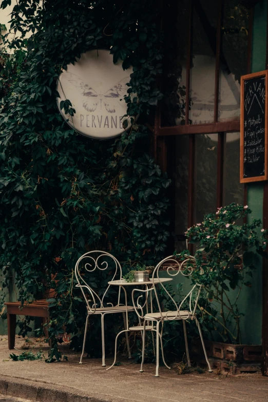 an empty table and chairs sitting in front of some ivy