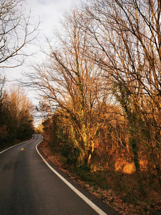 a country road in the fall sun