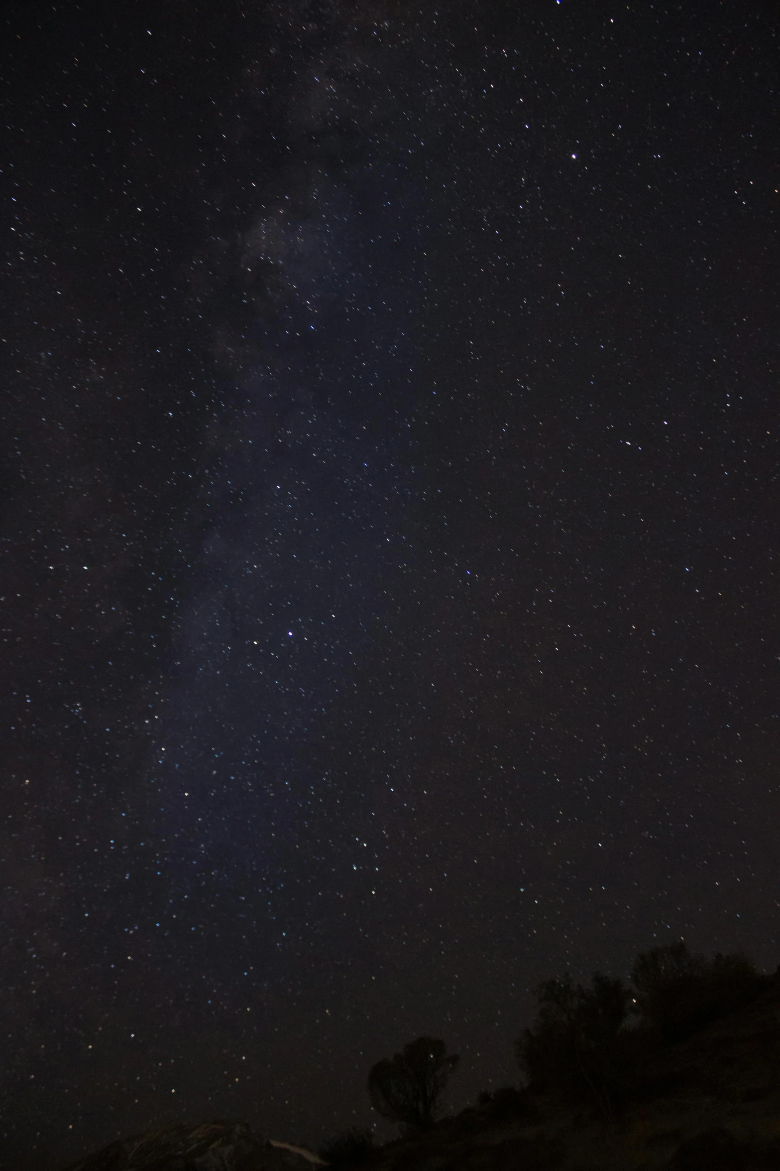 night s of the milky and stars above the trees