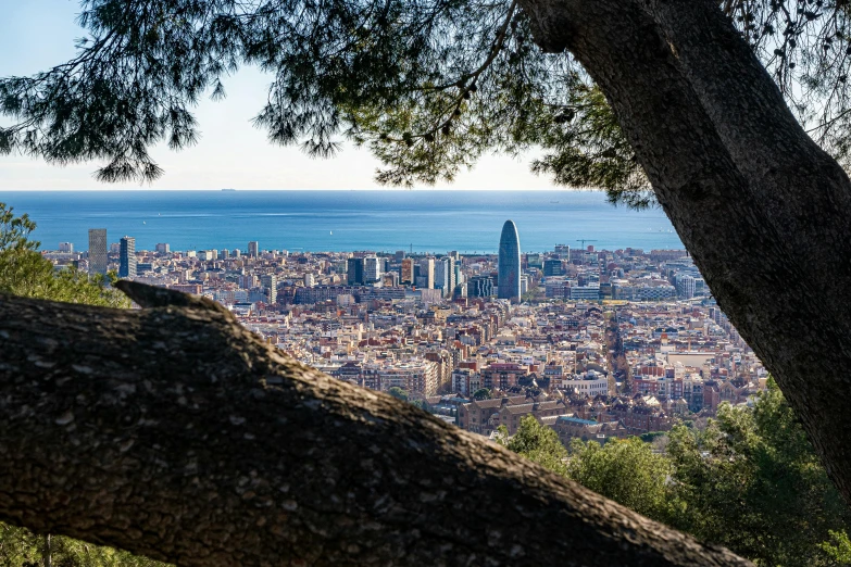 a bench on top of a hill overlooking a city