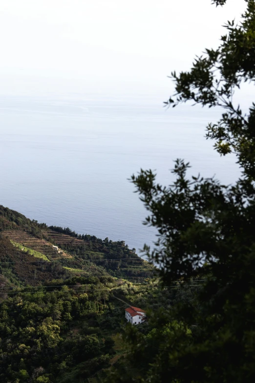 a bird standing on the edge of a cliff overlooking water