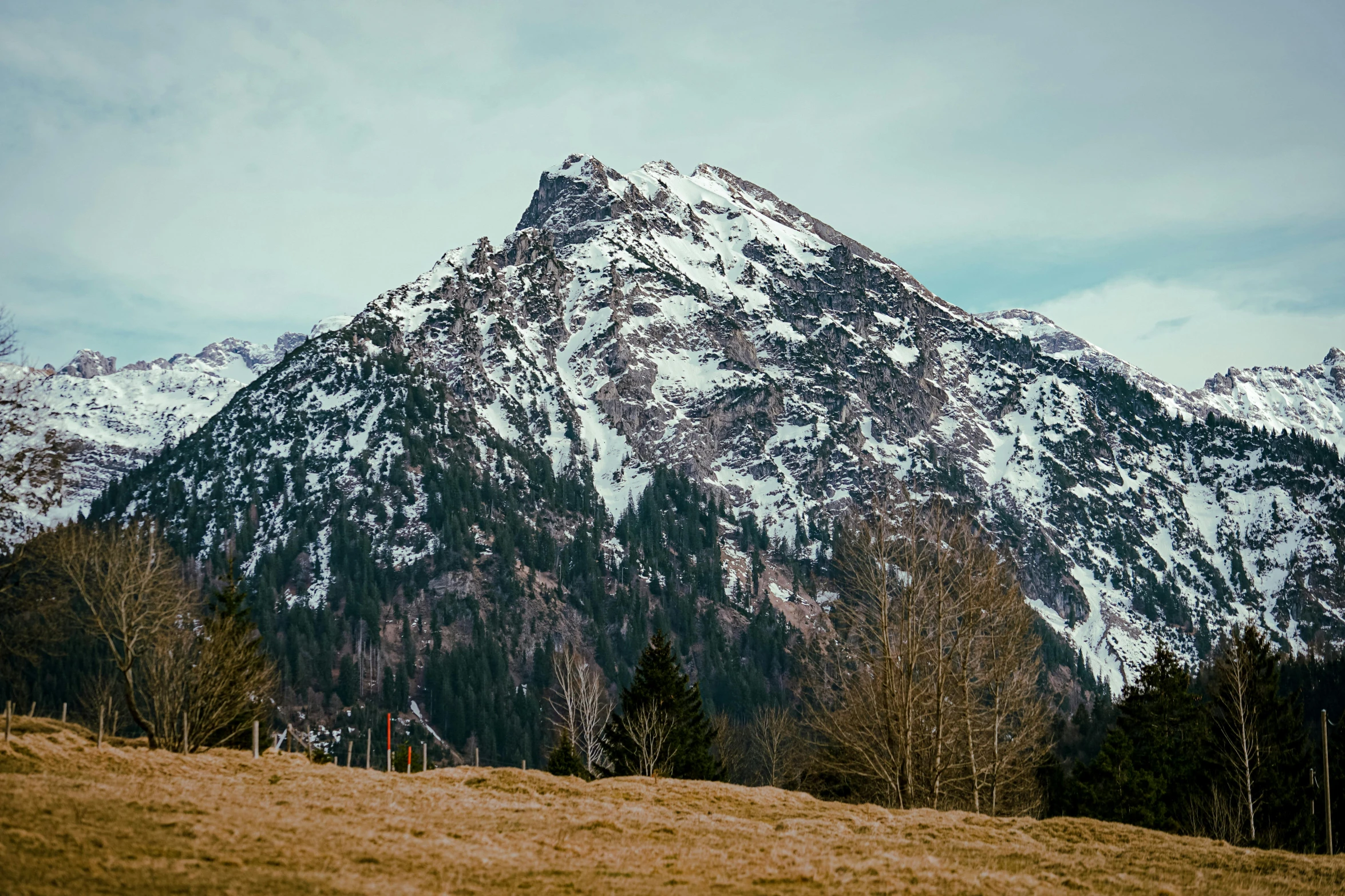 the mountain is covered in snow and brown grass