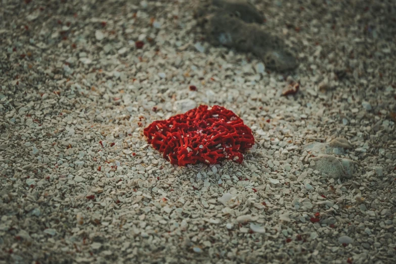 an abstract pograph of a heart on the ground