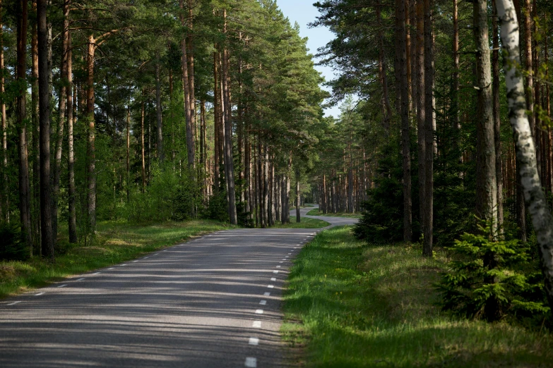 a quiet tree lined street leading to a park