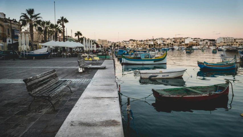 a view of boats docked in a harbor near palm trees