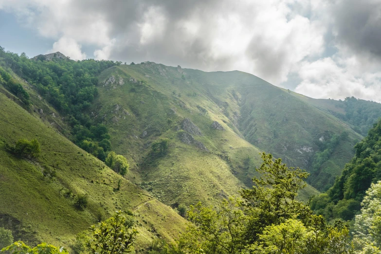 a scenic picture of a mountain covered in green foliage