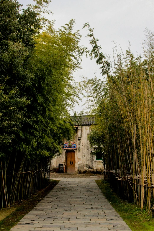 a path that leads to a building, with many trees in front